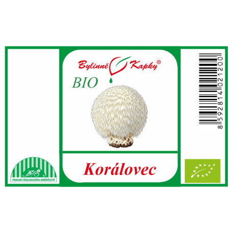 Coral (Hericium) BIO - Kräutertropfen (Tinktur) 50 ml