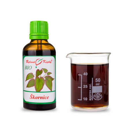 Zimt Zimt BIO Tropfen (Tinktur) 50 ml