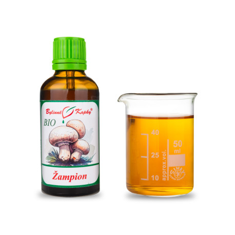 Pilze BIO Tropfen (Tinktur) 50 ml