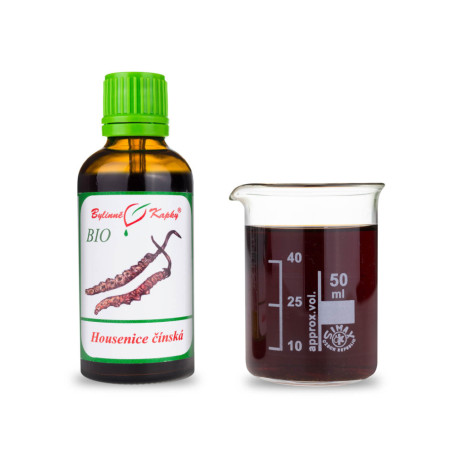 Chinesische Raupe (Cordyceps) Tropfen (Tinktur) 50 ml
