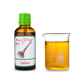 Shatavari BIO Tropfen (Tinktur) 50 ml