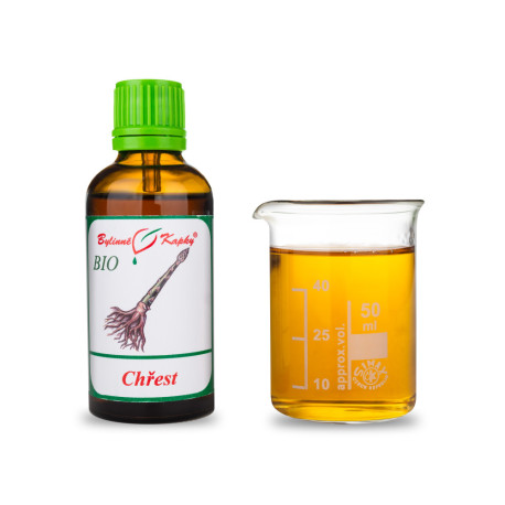 Shatavari BIO Tropfen (Tinktur) 50 ml