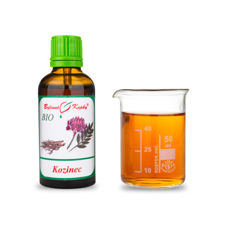 Astragalus BIO Tropfen (Tinktur) 50 ml