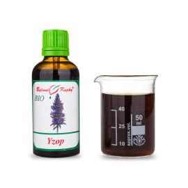 Ysop BIO Tropfen (Tinktur) 50 ml