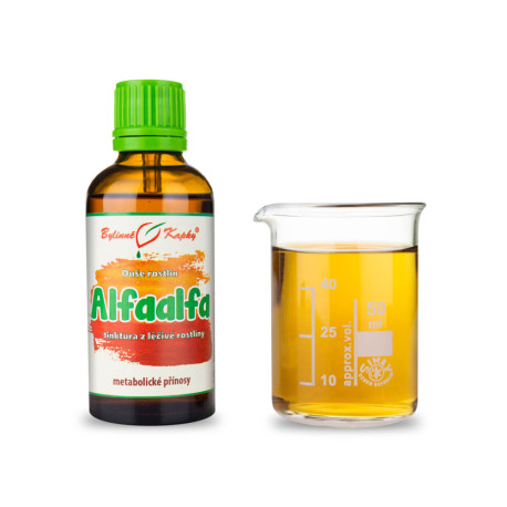Alfaalfa (Alfalfa) - Kräutertropfen (Tinktur) Pflanzenseele 50 ml