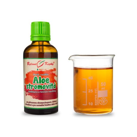 Aloe Tree - Kräutertropfen (Tinktur) Pflanzenseele 50 ml
