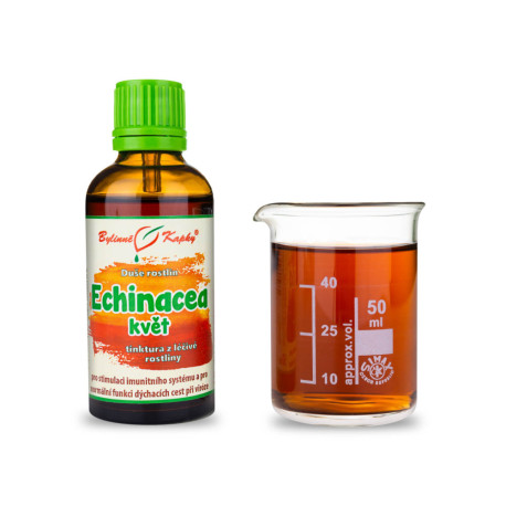Echinacea Purple Flower - Kräutertropfen (Tinktur) Pflanzenseele 50 ml