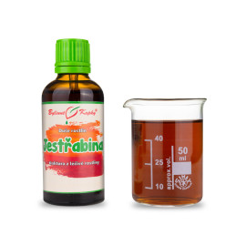 Eberesche Vogelblume - Kräutertropfen (Tinktur) Pflanzenseele 50 ml
