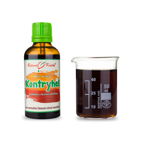 Alchemilka gelb-grün - Kräutertropfen (Tinktur) Pflanzenseele 50 ml
