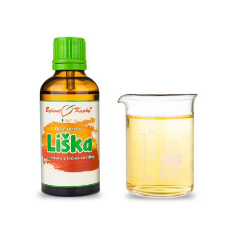 Pfifferling - Kräutertropfen (Tinktur) Pflanzenseele 50 ml