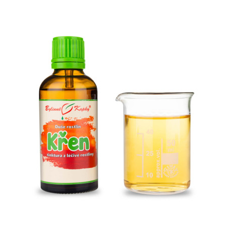 Meerrettich - Kräutertropfen (Tinktur) Seele der Pflanzen 50 ml