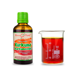 Kurkuma Lang - Kräutertropfen (Tinktur) Seele der Pflanzen 50 ml