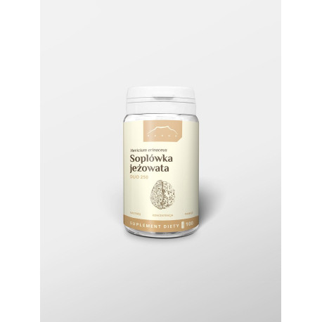 Lions Mane DUO 400 mg x 100 Kapseln - 100