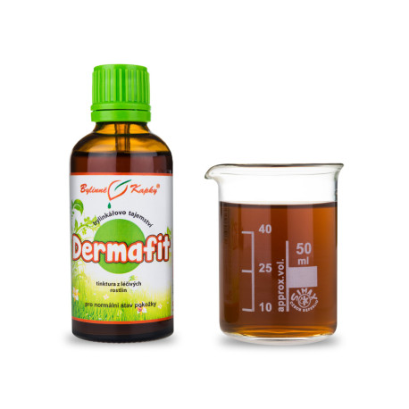 Dermafit Tropfen (Tinktur) 50 ml