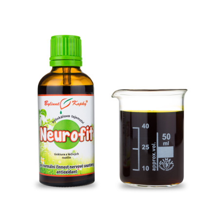 Neurofit Tropfen (Tinktur)