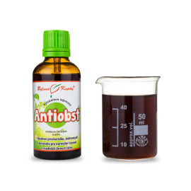 Antiobst Tropfen (Tinktur) 50 ml