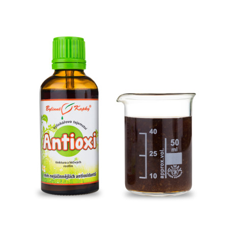 Antioxi (Antioxidans) Tropfen (Tinktur) 50 ml