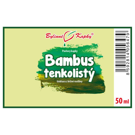 Dünnblättriger Bambus (TCM) - Pauls Kräutertropfen (Tinktur) 50 ml