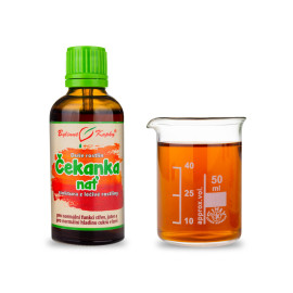 Chicorée - Kräutertropfen (Tinktur) Pflanzenseele 50 ml