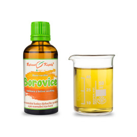 Zirbe Zwergkiefer (kniend) Triebe - Kräutertropfen (Tinktur) Pflanzenseele 50 ml