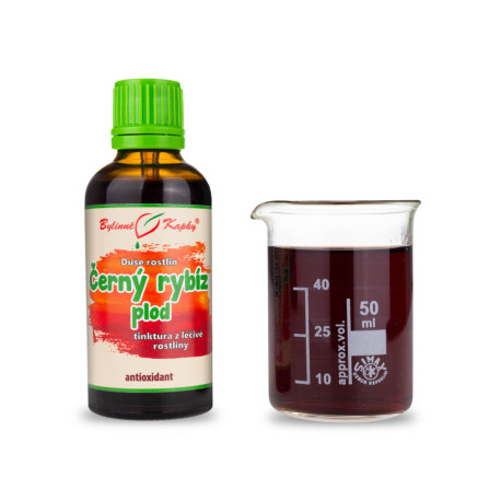 Schwarze Johannisbeere Frucht - Pflanzenseele (Tinktur) 50 ml