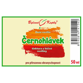 Mitesser - Kräutertropfen (Tinktur) Seele der Pflanzen 50 ml