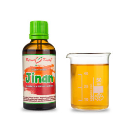 Ginkgo zweilappig - Kräutertropfen (Tinktur) Pflanzenseele 50 ml