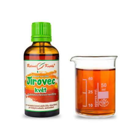 Rosskastanie - Kräutertropfen (Tinktur) Pflanzenseele 50 ml
