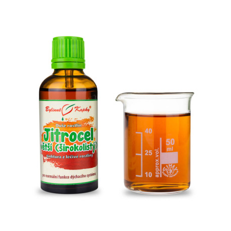 Großer Wegerich - Kräutertropfen (Tinktur) Pflanzenseele 50 ml
