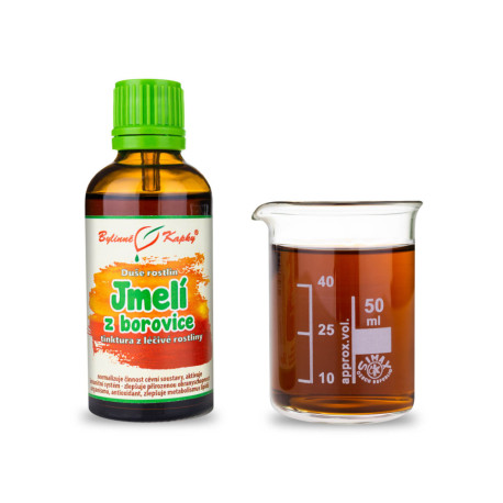 Zirbenmistel - Kräutertropfen (Tinktur) Pflanzenseele 50 ml