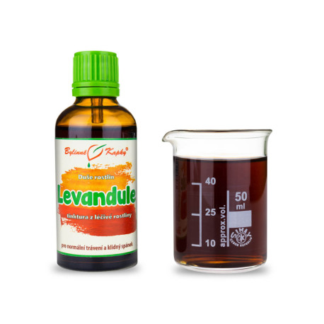 Lavendel - Kräutertropfen (Tinktur) Pflanzenseele 50 ml