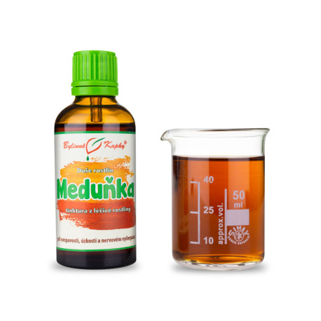 Zitronenmelisse - Kräutertropfen (Tinktur) Pflanzenseele 50 ml