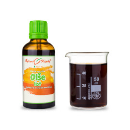 Erle Sticky Leaf - Kräutertropfen (Tinktur) Pflanzenseele 50 ml