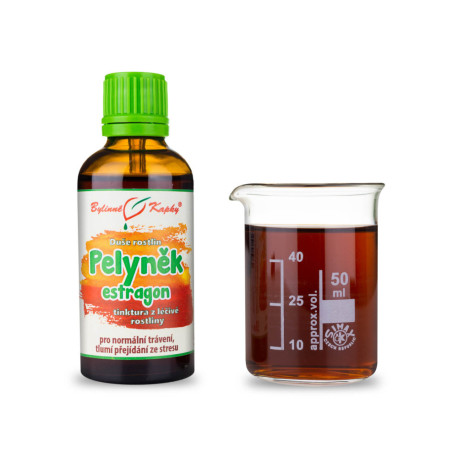 Drachen Wermut - Kräutertropfen (Tinktur) Seele der Pflanzen 50 ml