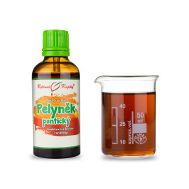 Pontischer Wermut - Kräutertropfen (Tinktur) Pflanzenseele 50 ml