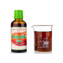 Einjähriger Wermut - Kräutertropfen (Tinktur) Pflanzenseele 50 ml