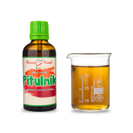 Gelbe Nachtschattentropfen (Tinktur) 50 ml