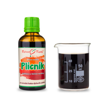 Lungenkraut Tropfen (Tinktur) 50 ml