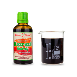 Veronica - Kräutertropfen (Tinktur) Seele der Pflanzen 50 ml