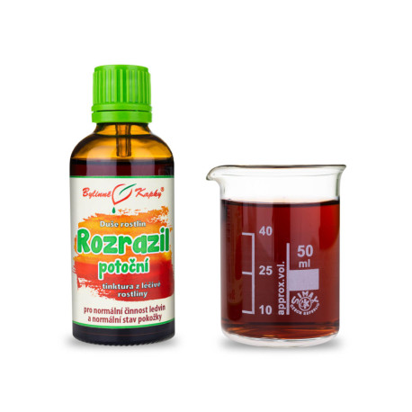 Veronika potočná - Kräutertropfen (Tinktur) Seele der Pflanzen 50 ml