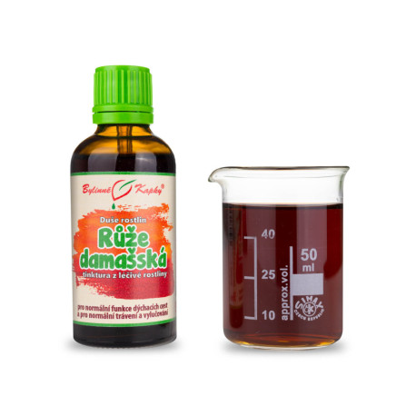 Damaszener Rose - Kräutertropfen (Tinktur) Seele der Pflanzen 50 ml