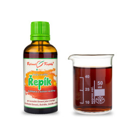 Klette - Kräutertropfen (Tinktur) Seele der Pflanzen 50 ml