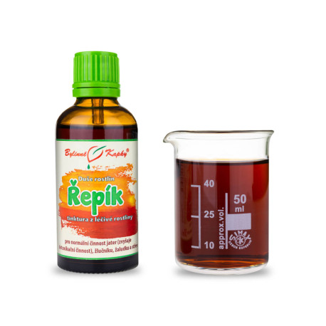 Klette - Kräutertropfen (Tinktur) Seele der Pflanzen 50 ml