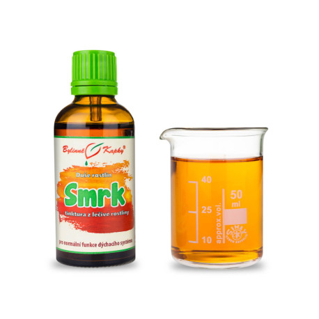 Fichte - Kräutertropfen (Tinktur) Pflanzenseele 50 ml