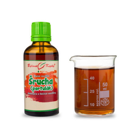 Kohlportulak - Kräutertropfen (Tinktur) Pflanzenseele 50 ml