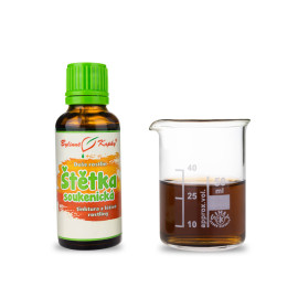 Stoffpinsel - Kräutertropfen (Tinktur) Pflanzenseele 30 ml