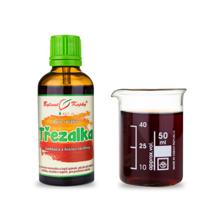 Johanniskraut - Kräutertropfen (Tinktur) Pflanzenseele 50 ml