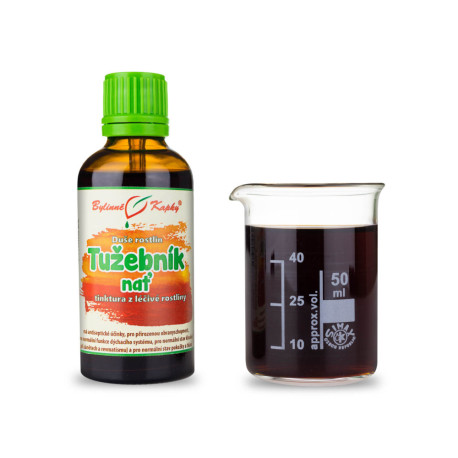 Sehnsüchtige Ulme blühende Rispe - Kräutertropfen (Tinktur) Pflanzenseele 50 ml