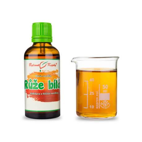 Weiße Rose - Kräutertropfen (Tinktur) Pflanzenseele 50 ml