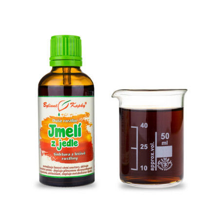 Mistel aus der Tanne - Kräutertropfen (Tinktur) Seele der Pflanzen 50 ml
